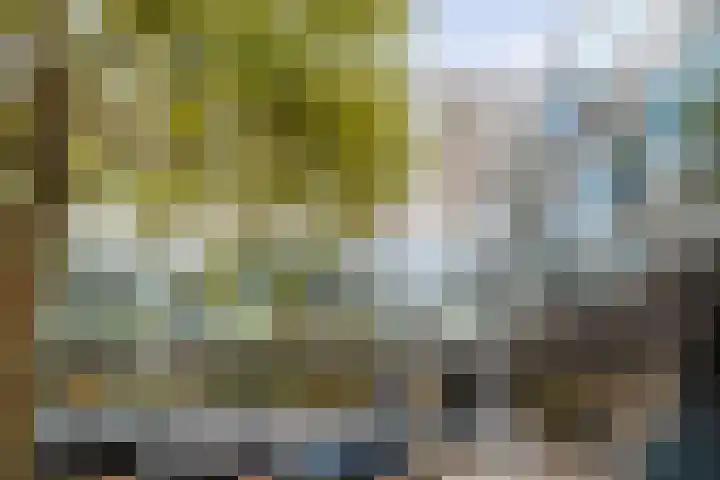 Parnassusweg 147 Amsterdam thumbnail 27