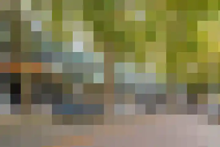 Parnassusweg 147 Amsterdam thumbnail 29