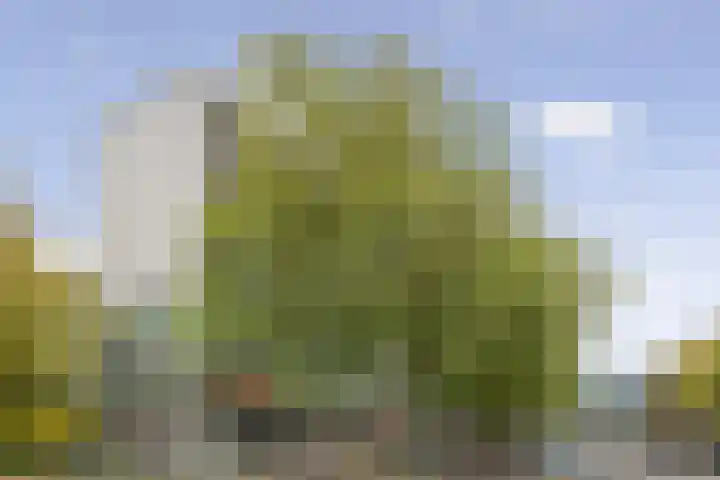 Parnassusweg 147 Amsterdam thumbnail 30
