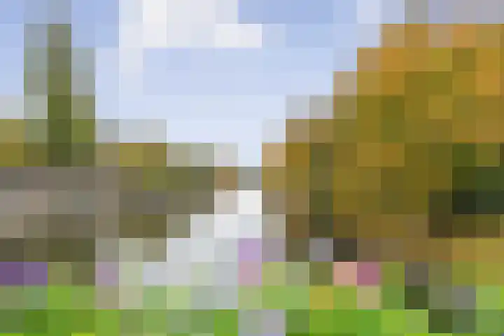 Parnassusweg 147 Amsterdam thumbnail 31