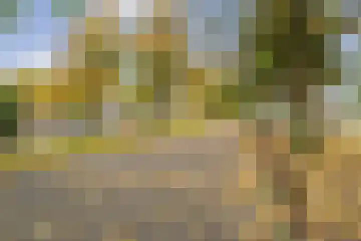 Parnassusweg 147 Amsterdam thumbnail 32