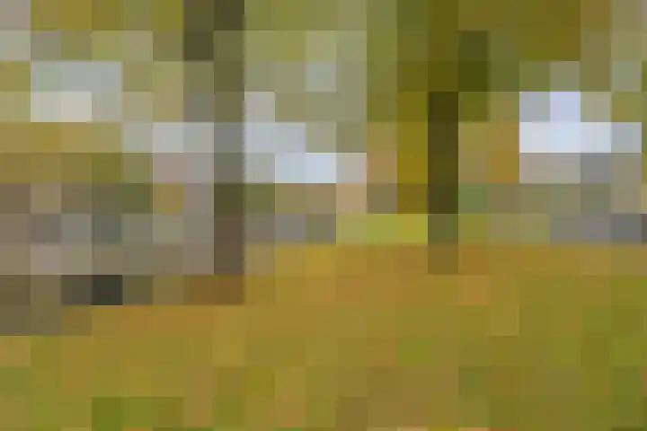 Parnassusweg 147 Amsterdam thumbnail 33