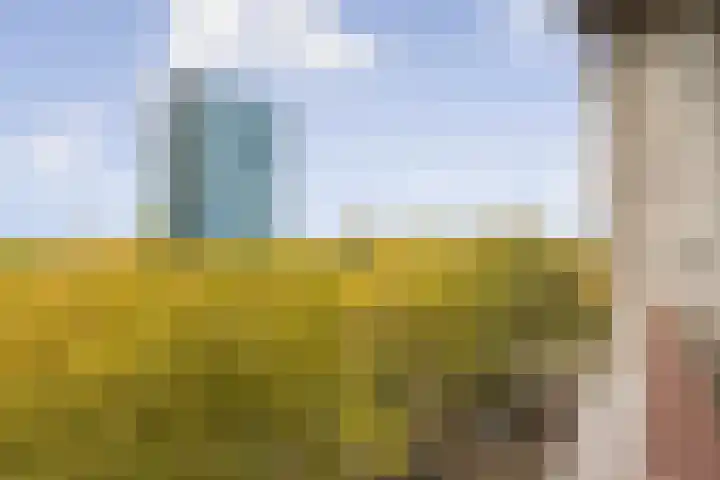 Parnassusweg 147 Amsterdam thumbnail 8