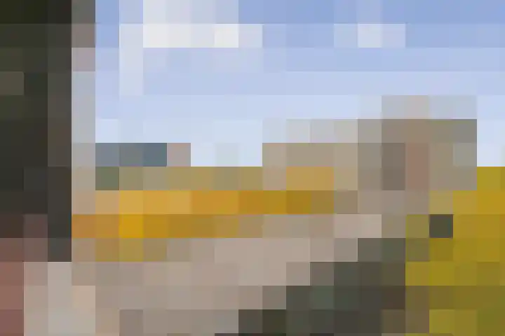Parnassusweg 147 Amsterdam thumbnail 9