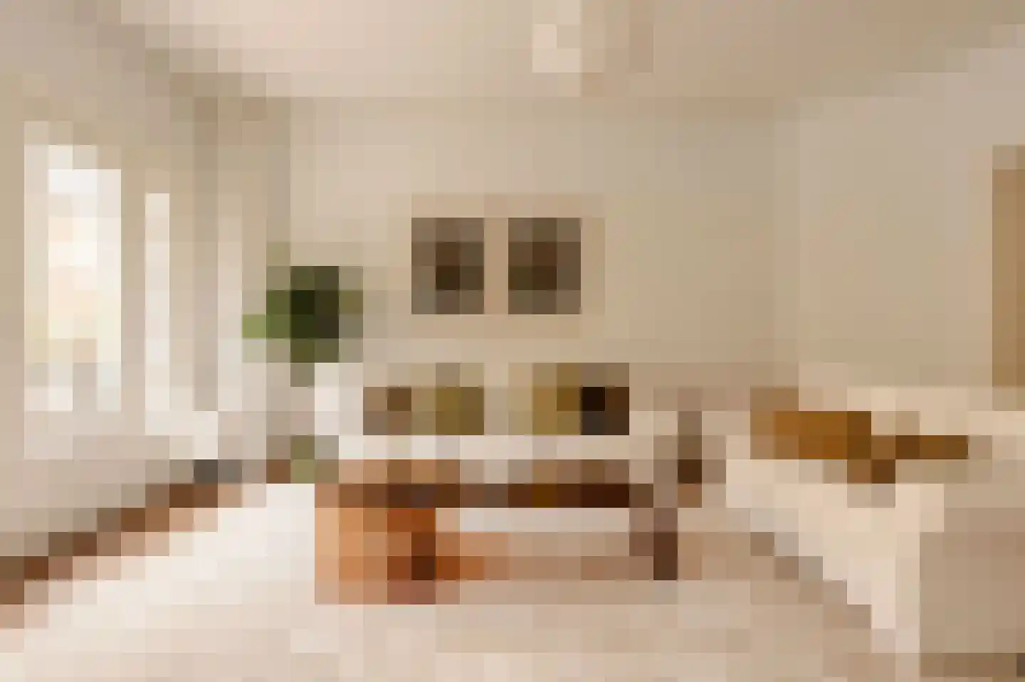 Parnassusweg 15 1 Amsterdam thumbnail 11