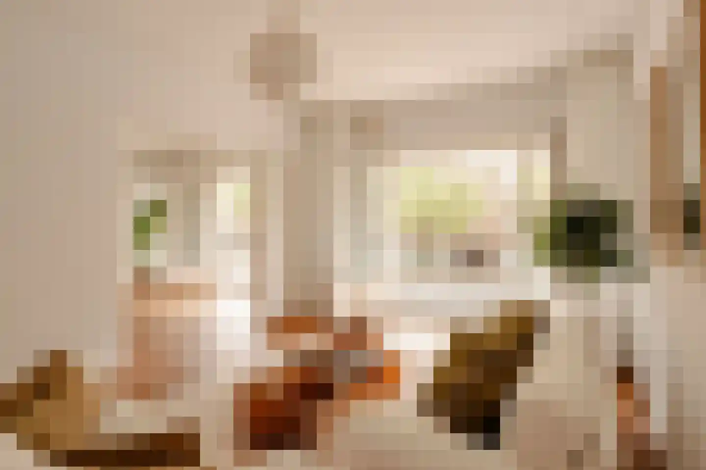 Parnassusweg 15 1 Amsterdam thumbnail 12