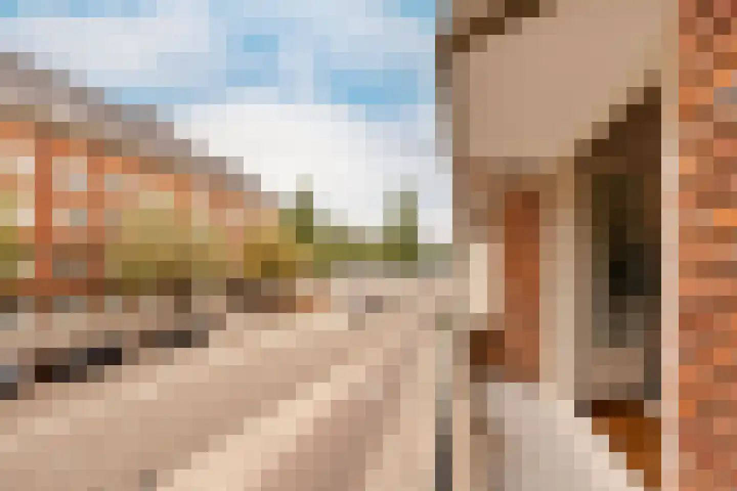 Parnassusweg 15 1 Amsterdam thumbnail 13