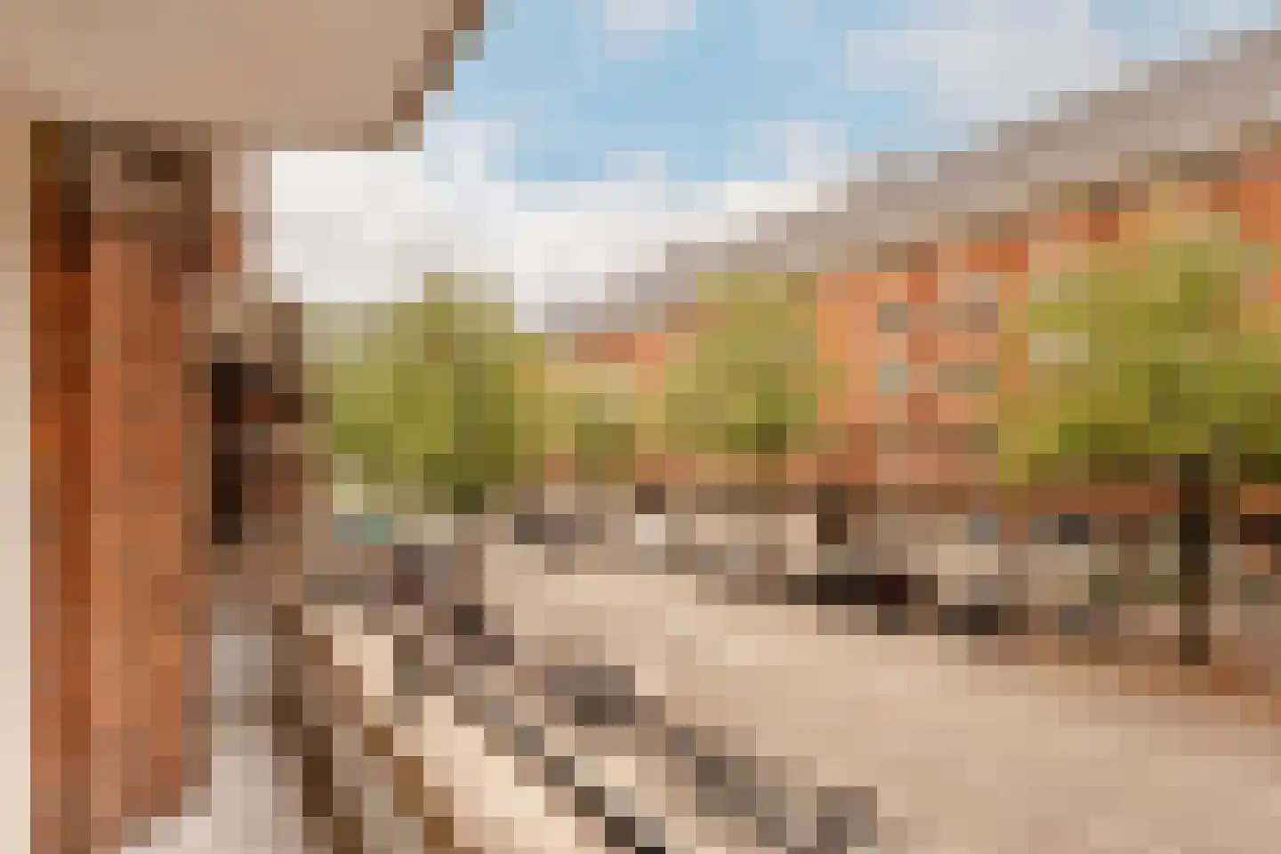 Parnassusweg 15 1 Amsterdam thumbnail 14