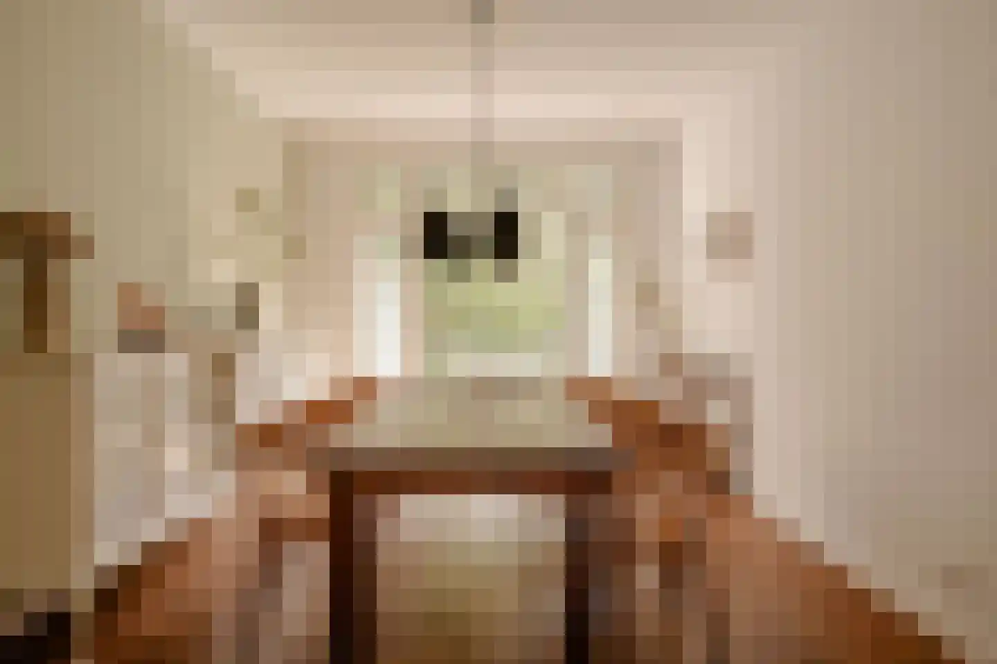 Parnassusweg 15 1 Amsterdam thumbnail 18