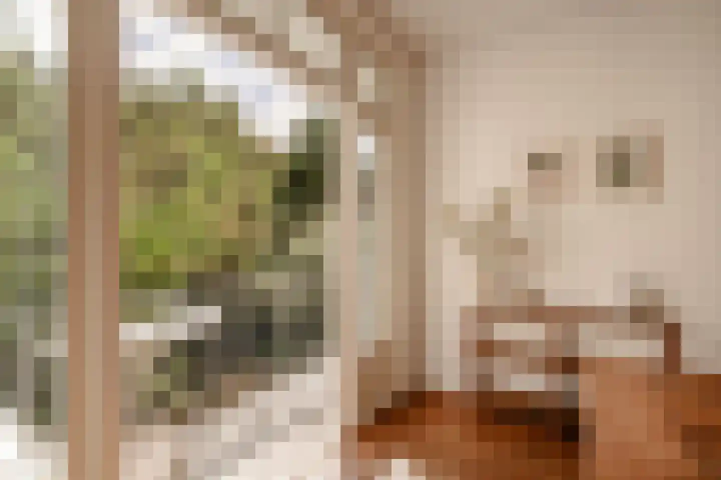 Parnassusweg 15 1 Amsterdam thumbnail 22