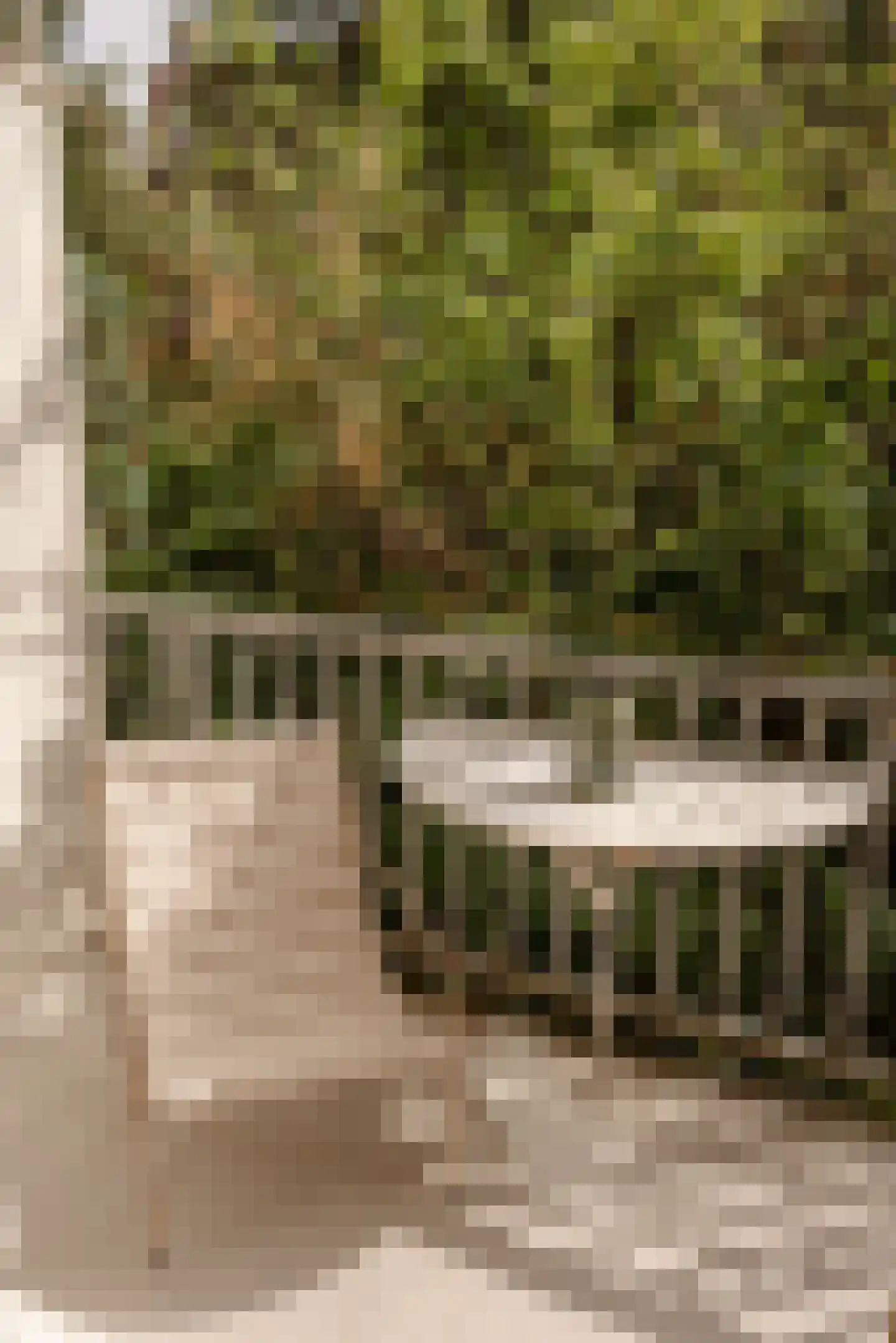 Parnassusweg 15 1 Amsterdam thumbnail 23