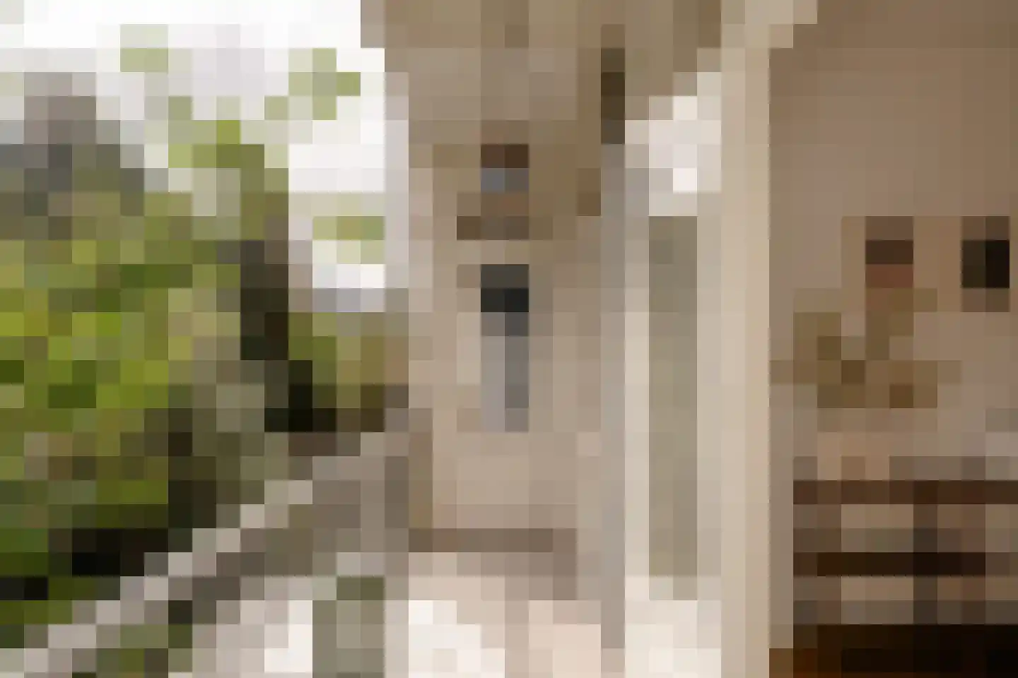 Parnassusweg 15 1 Amsterdam thumbnail 25