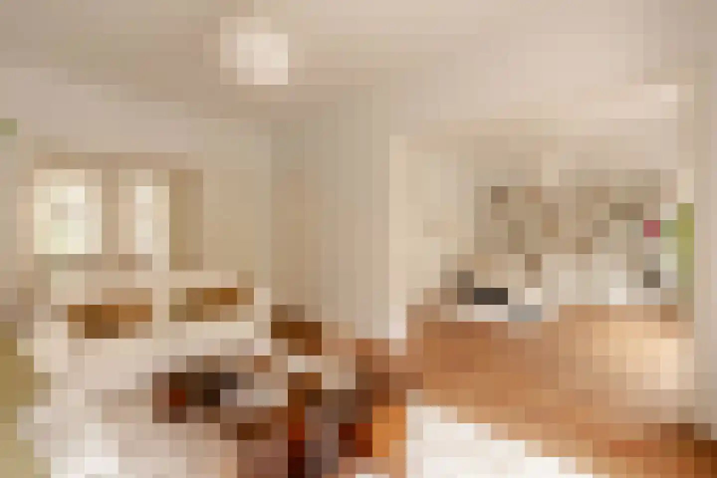 Parnassusweg 15 1 Amsterdam thumbnail 27