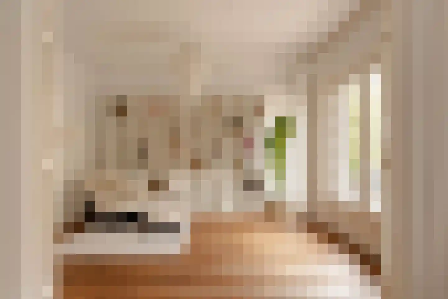 Parnassusweg 15 1 Amsterdam thumbnail 28