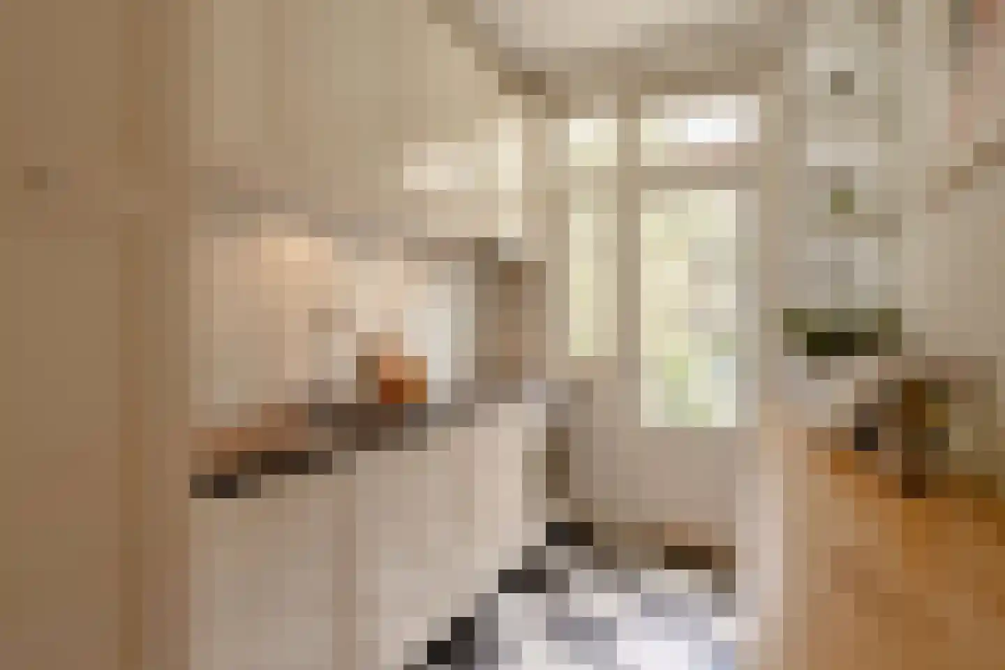 Parnassusweg 15 1 Amsterdam thumbnail 31
