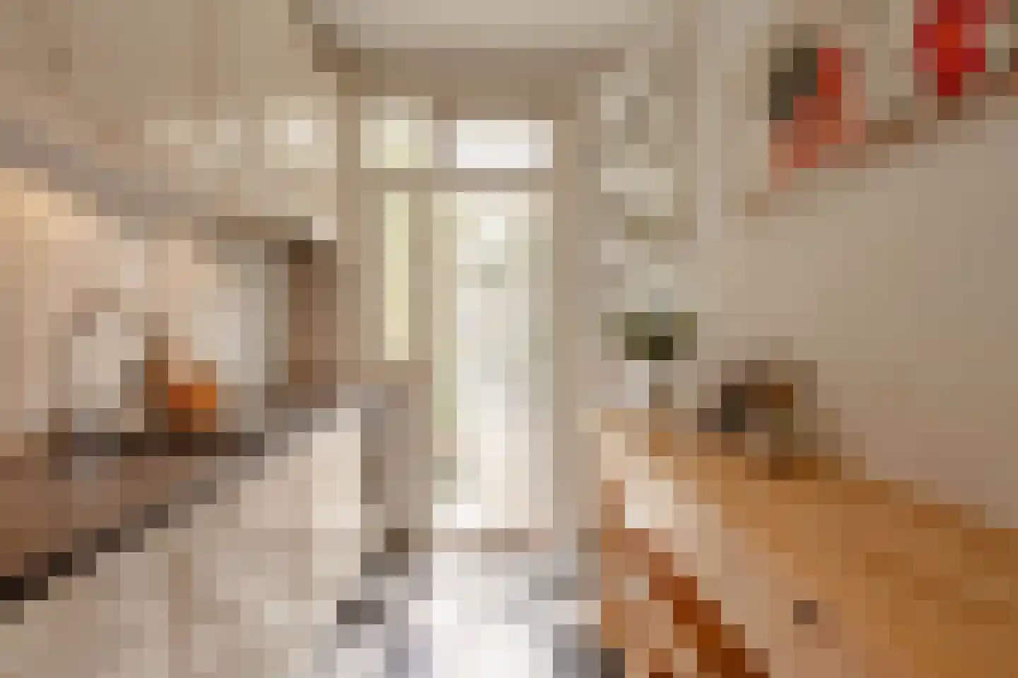 Parnassusweg 15 1 Amsterdam thumbnail 32