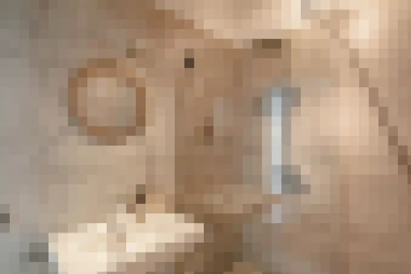 Parnassusweg 15 1 Amsterdam thumbnail 38