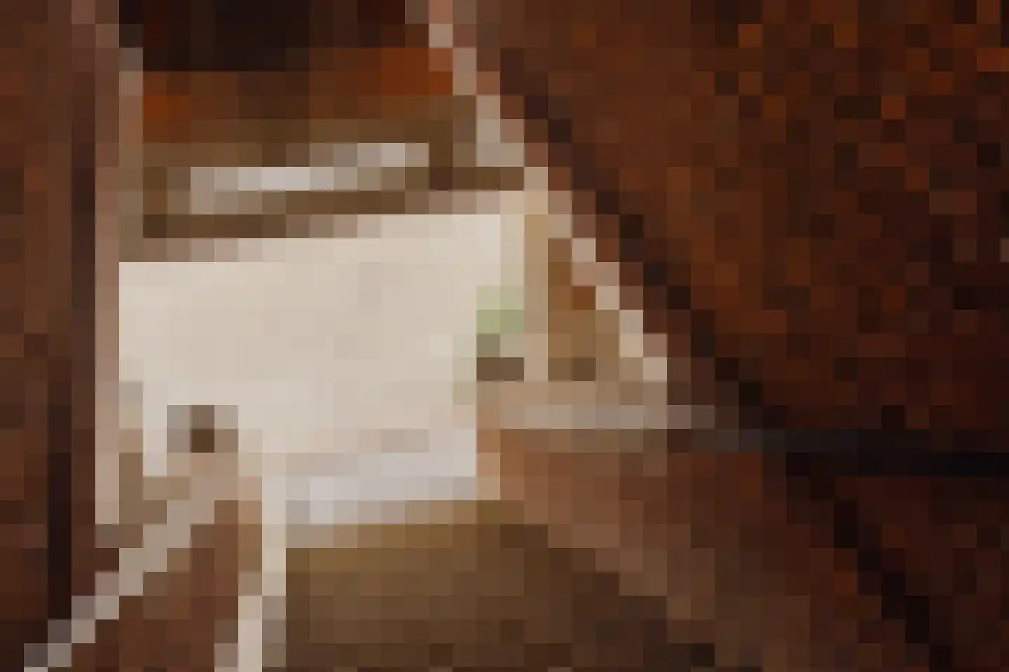 Parnassusweg 15 1 Amsterdam thumbnail 42