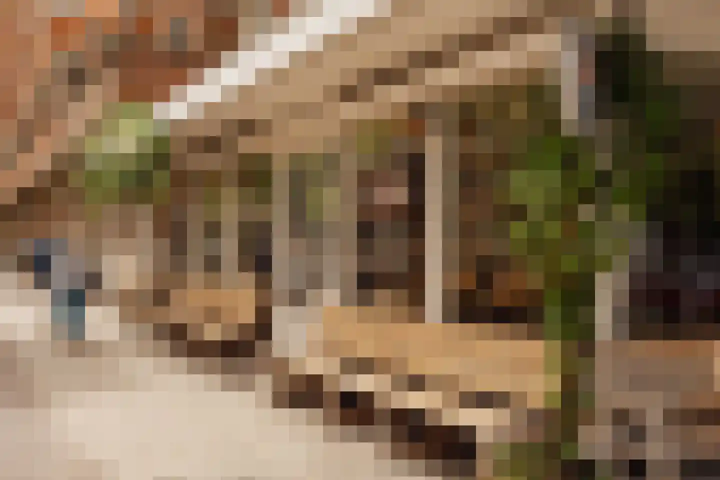 Parnassusweg 15 1 Amsterdam thumbnail 43