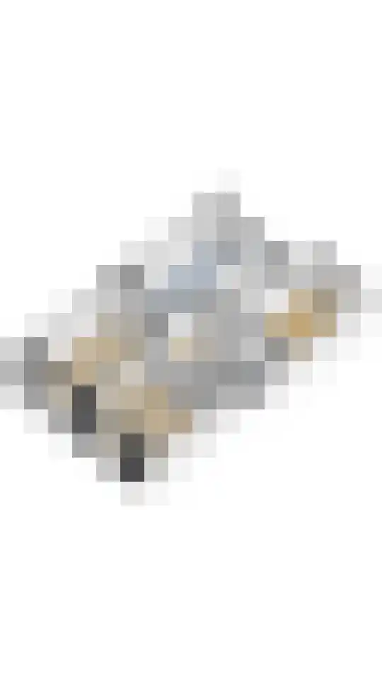 Parnassusweg 15 1 Amsterdam thumbnail 49