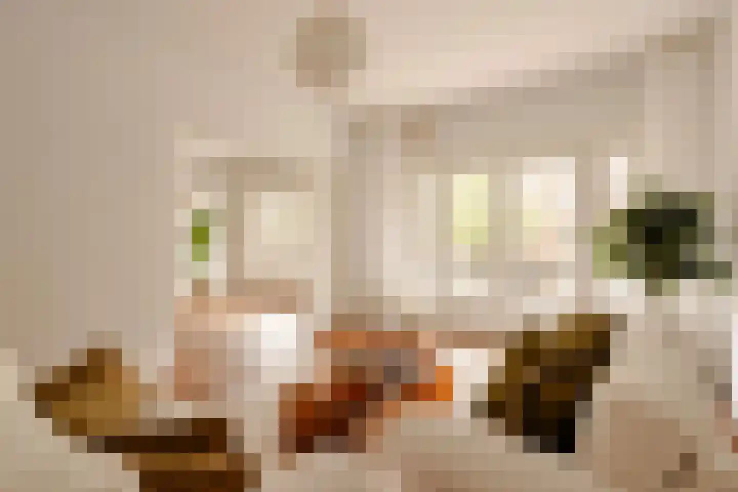 Parnassusweg 15 1 Amsterdam thumbnail 5