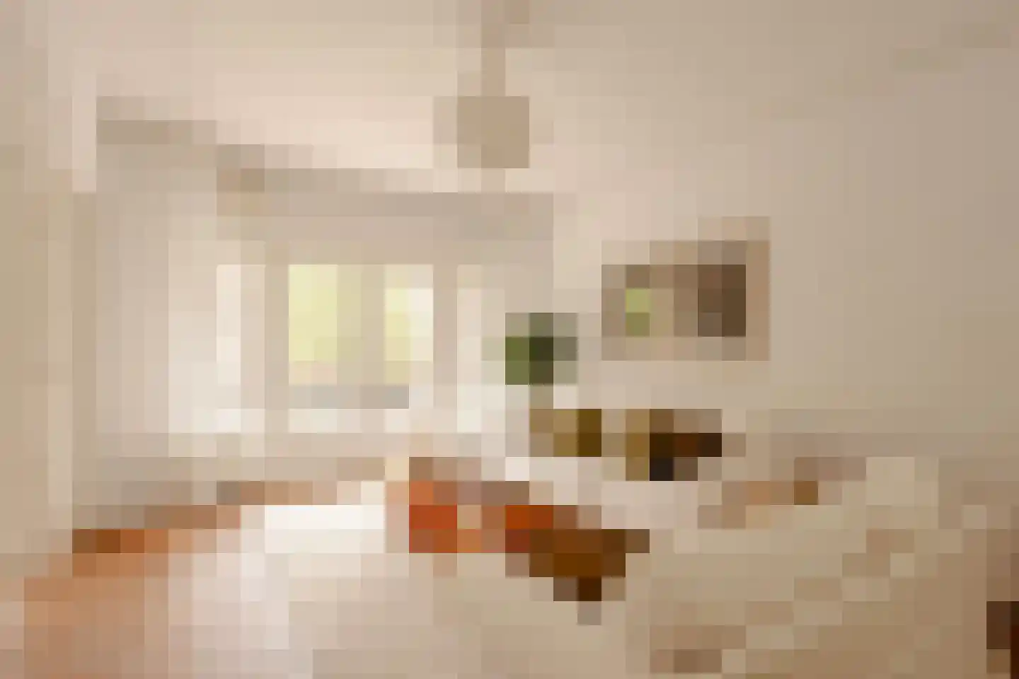 Parnassusweg 15 1 Amsterdam thumbnail 6
