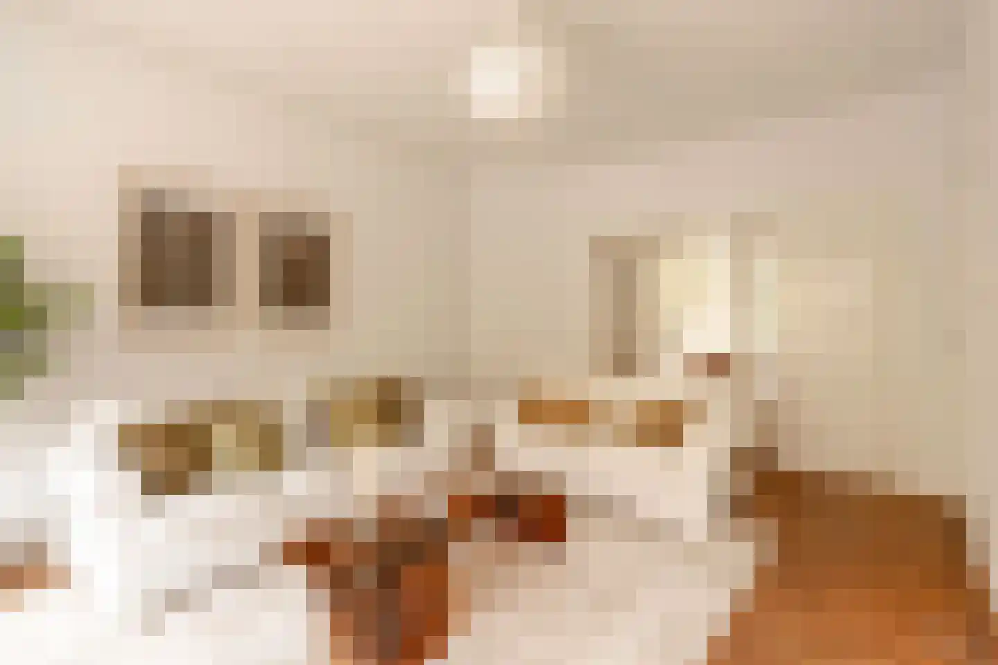 Parnassusweg 15 1 Amsterdam thumbnail 7
