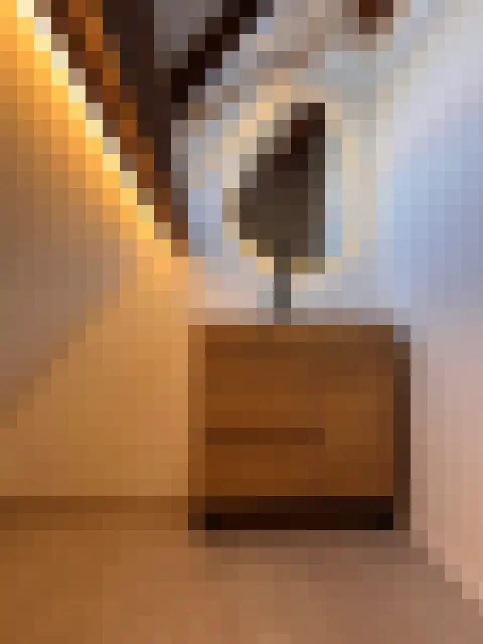 Parnassusweg 15 3 Amsterdam thumbnail 47