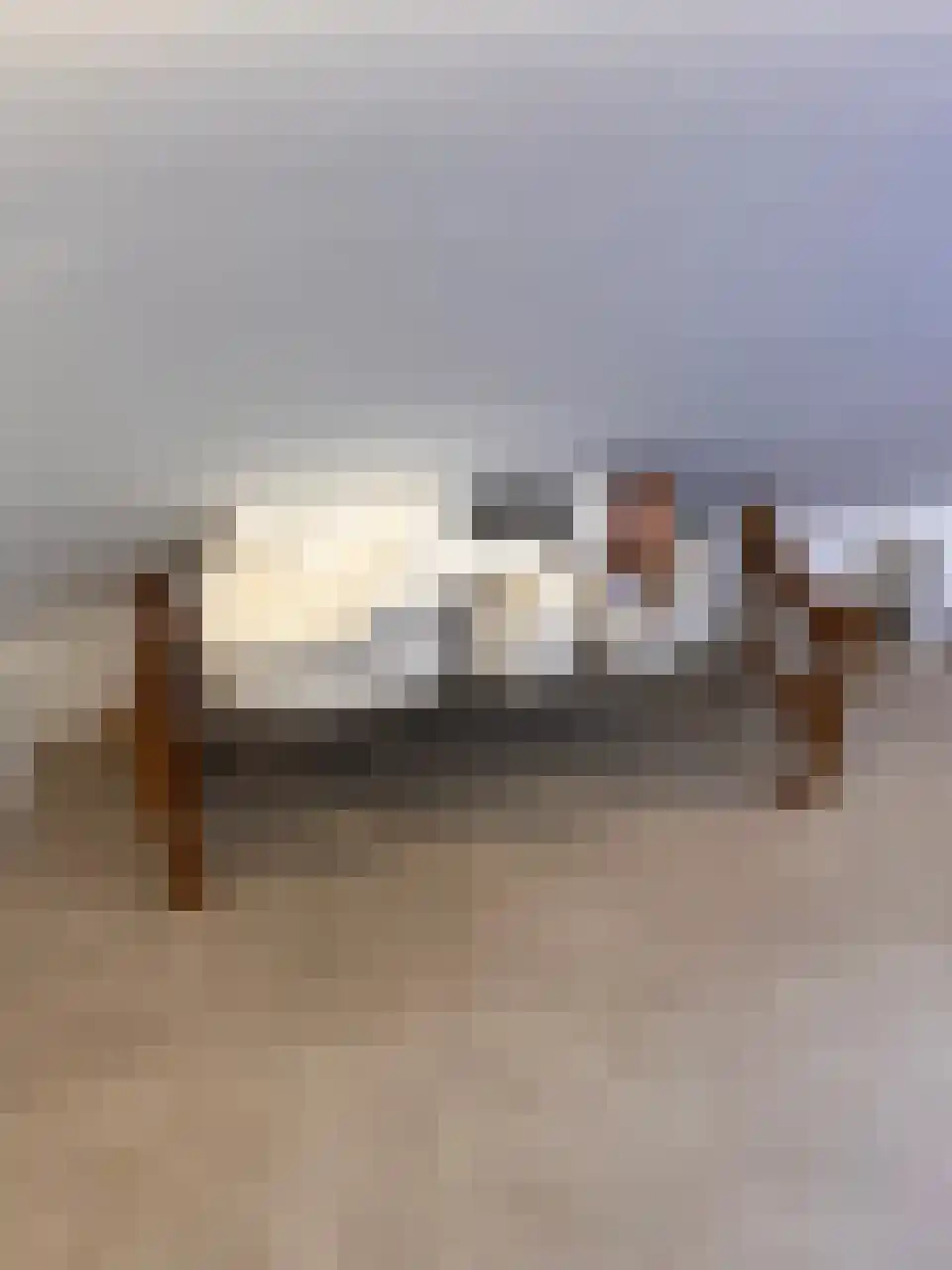 Parnassusweg 15 3 Amsterdam thumbnail 52