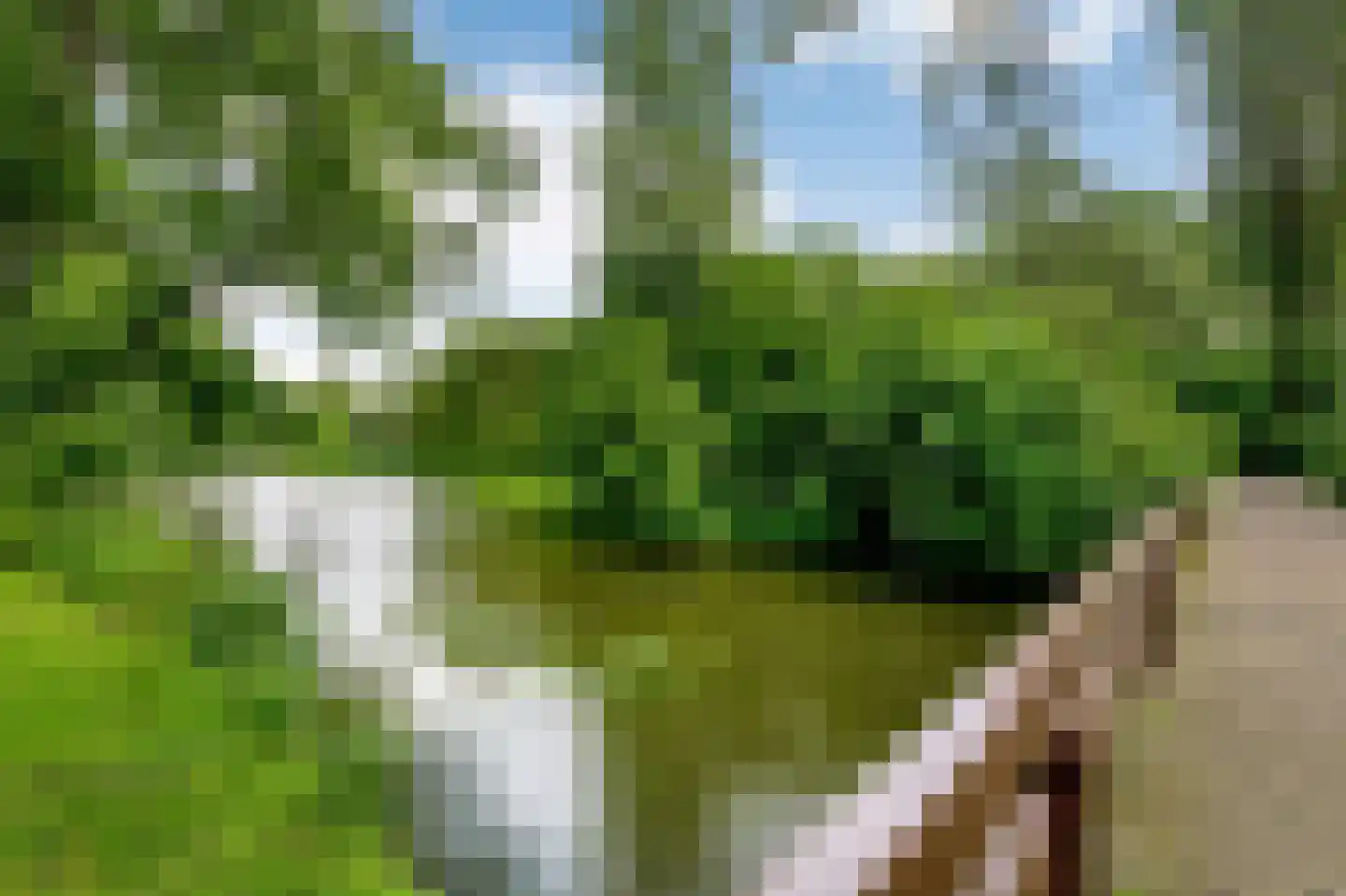 Parnassusweg 15 3 Amsterdam thumbnail 53