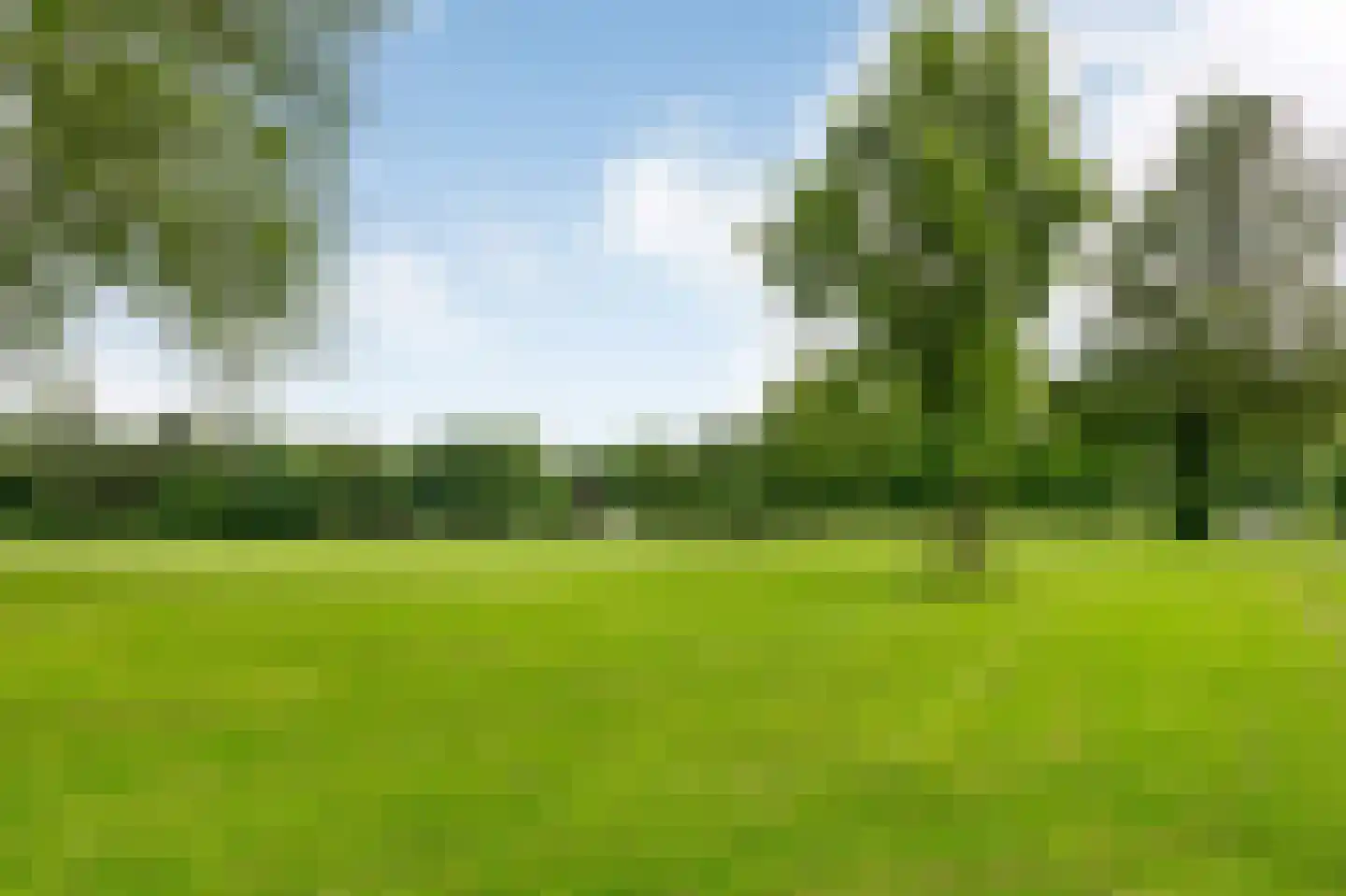 Parnassusweg 15 3 Amsterdam thumbnail 54
