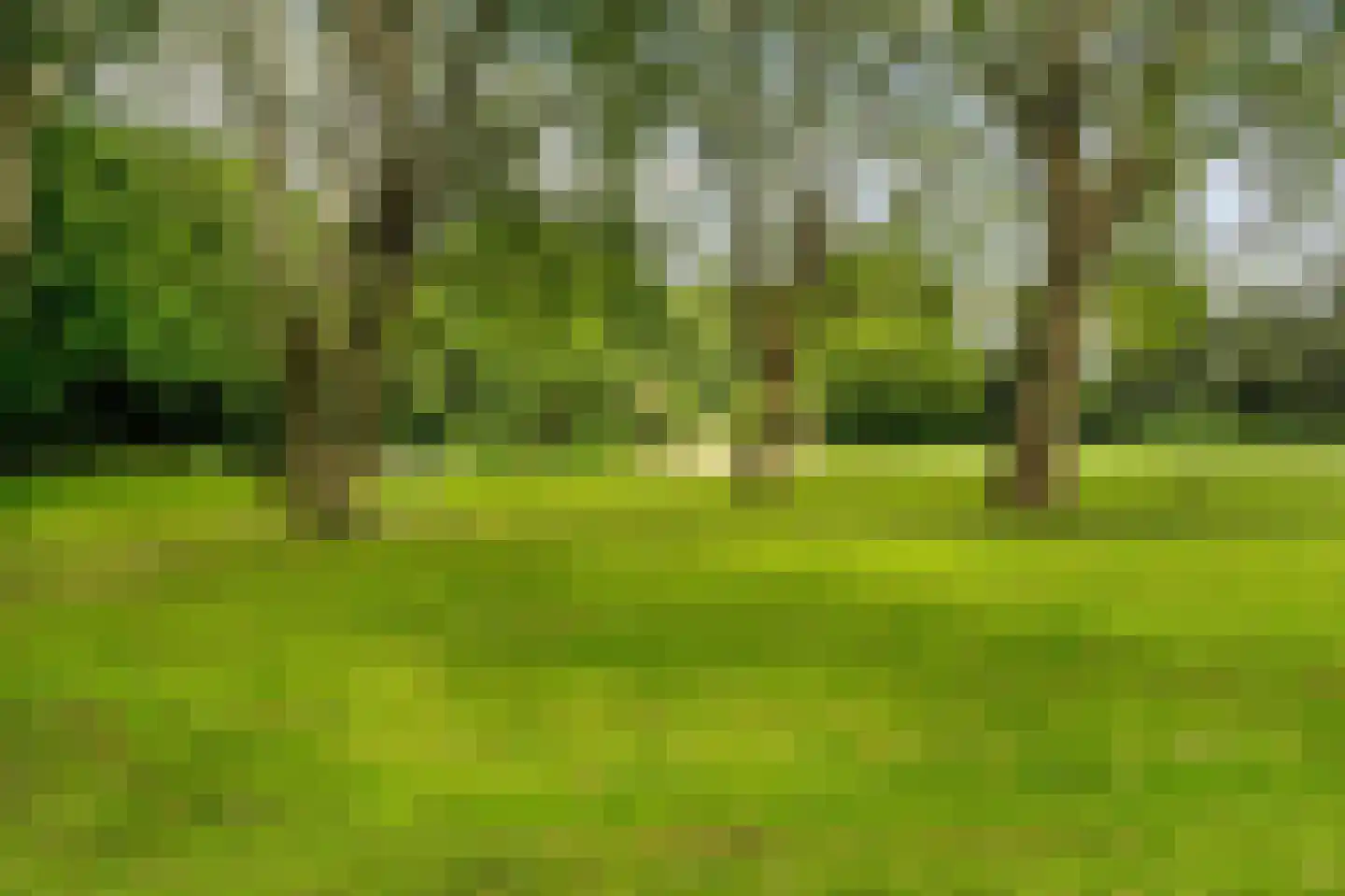 Parnassusweg 15 3 Amsterdam thumbnail 55
