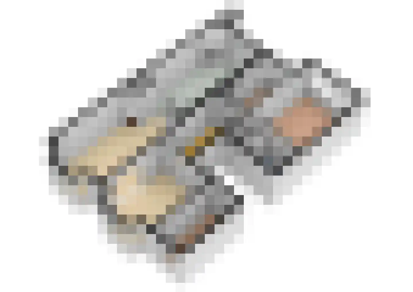 Parnassusweg 15 3 Amsterdam thumbnail 83
