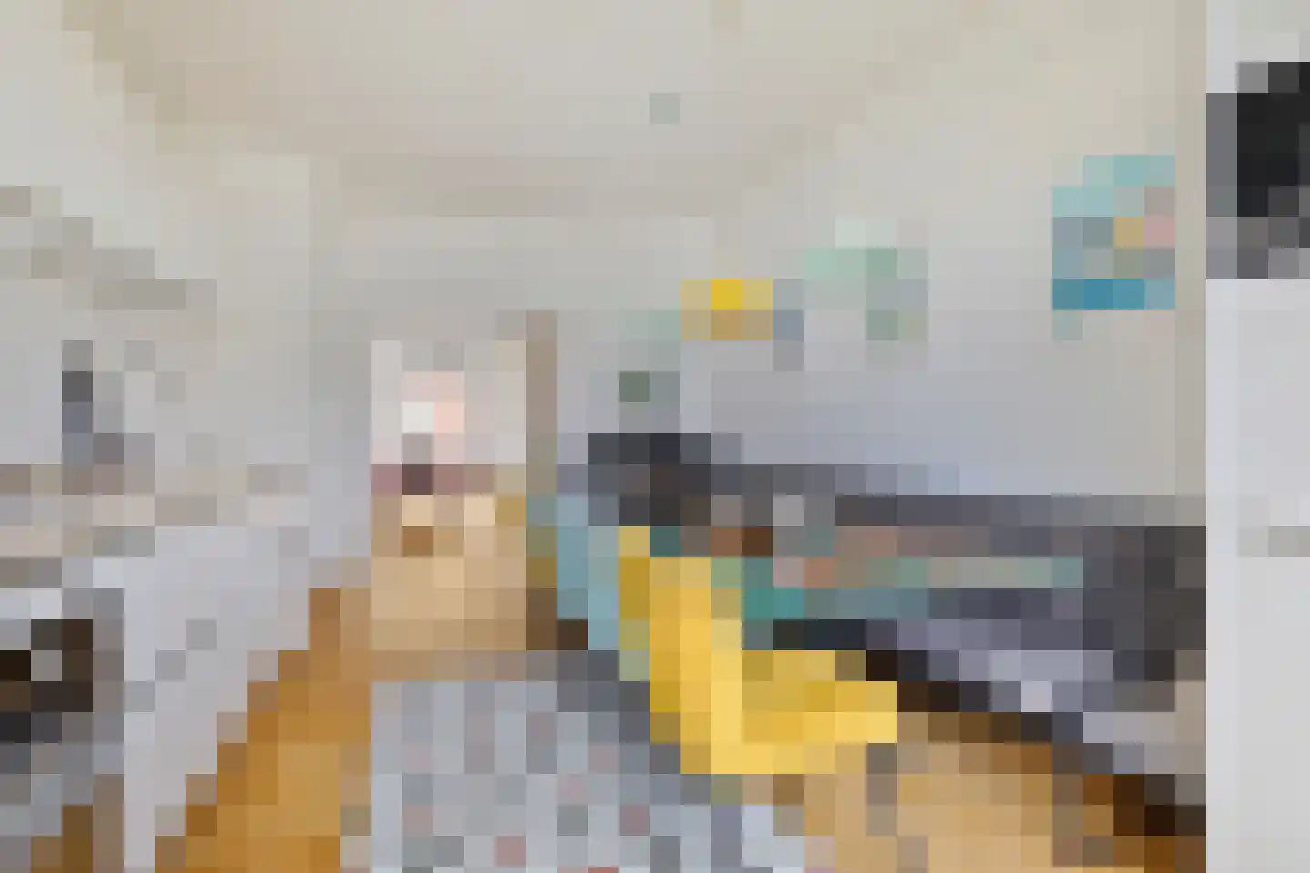 Parnassusweg 15 H Amsterdam thumbnail 14