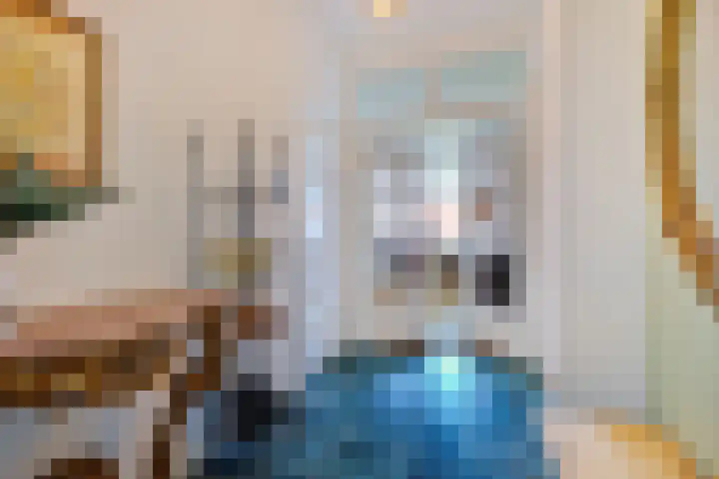 Parnassusweg 15 H Amsterdam thumbnail 14