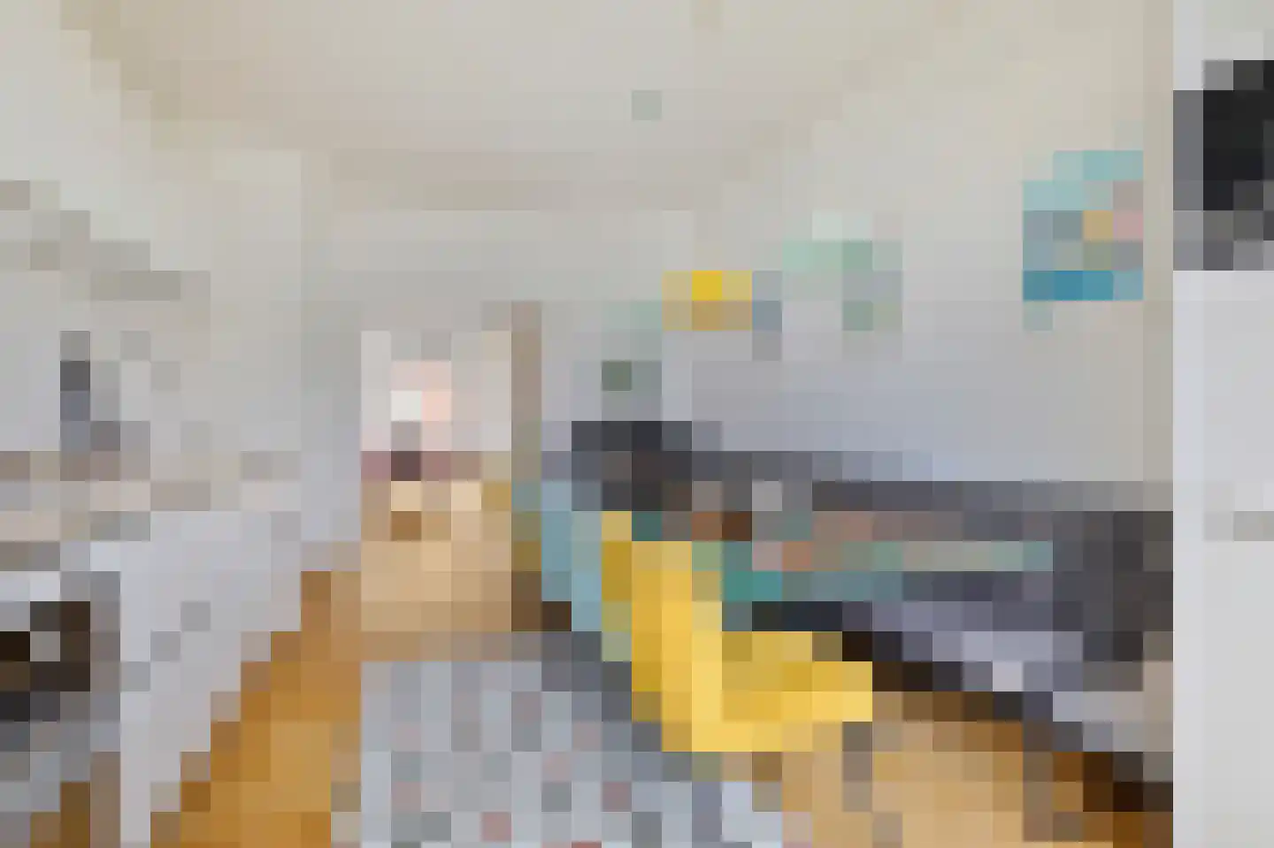 Parnassusweg 15 H Amsterdam thumbnail 15
