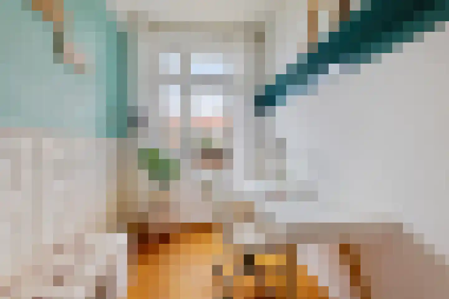 Parnassusweg 15 H Amsterdam thumbnail 30