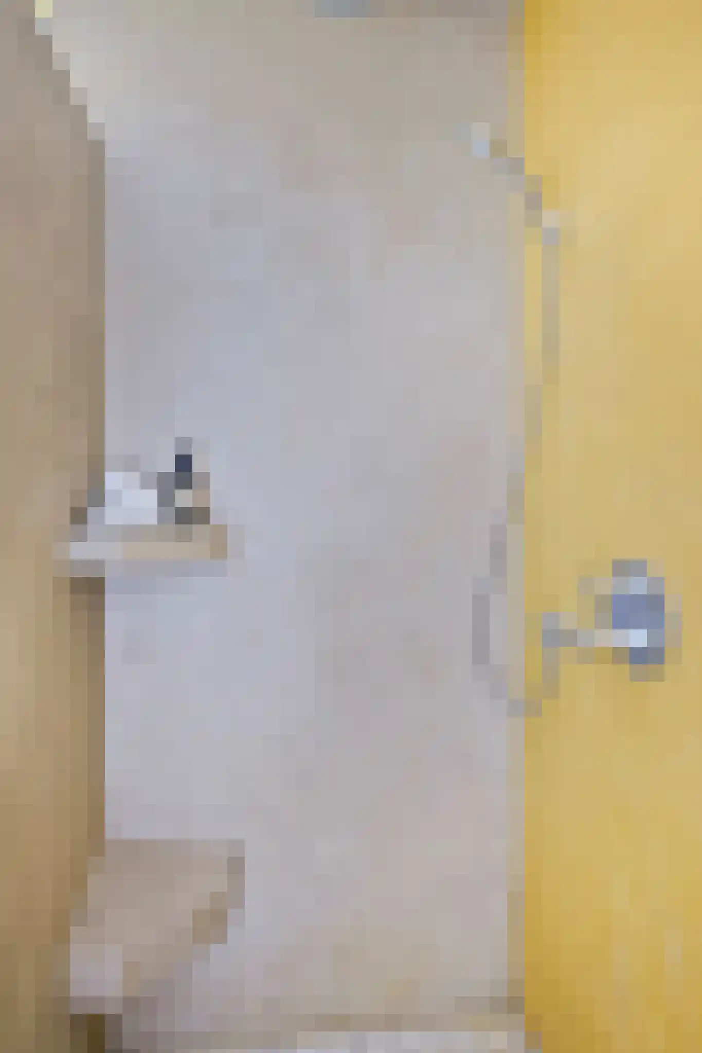 Parnassusweg 15 H Amsterdam thumbnail 38