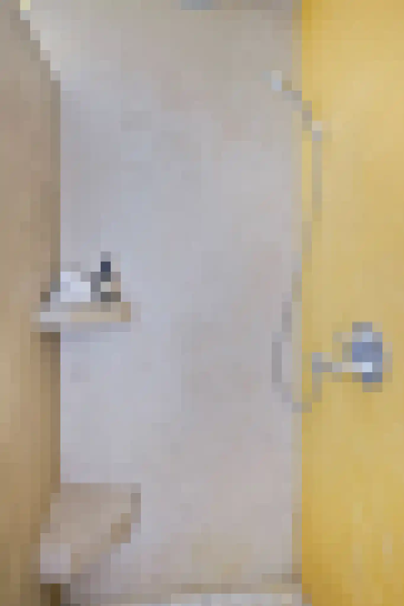 Parnassusweg 15 H Amsterdam thumbnail 38