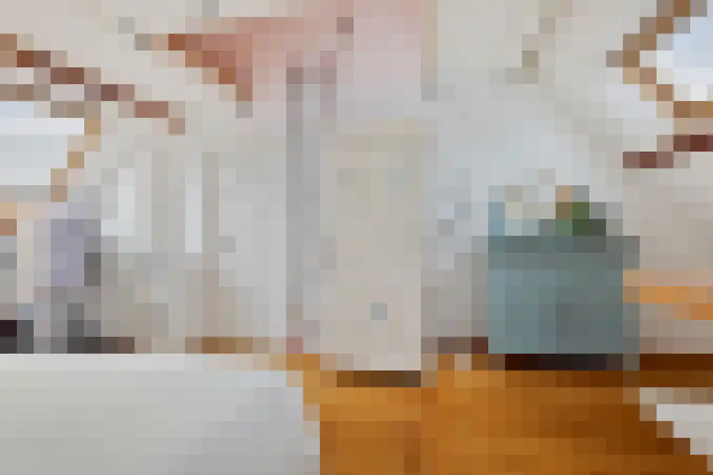 Parnassusweg 15 H Amsterdam thumbnail 42