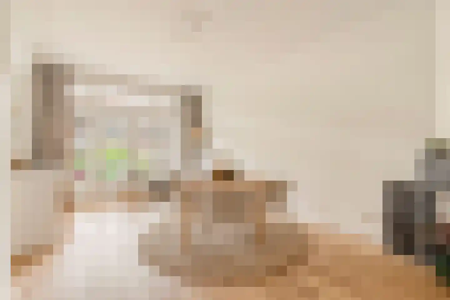 Parnassusweg 21 3 Amsterdam thumbnail 11