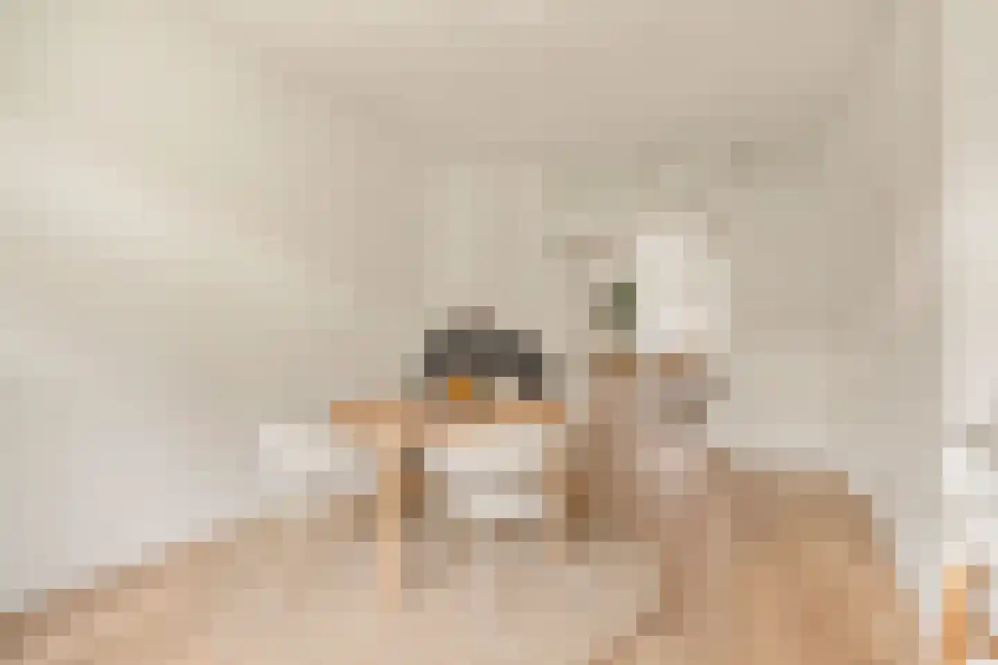 Parnassusweg 21 3 Amsterdam thumbnail 12