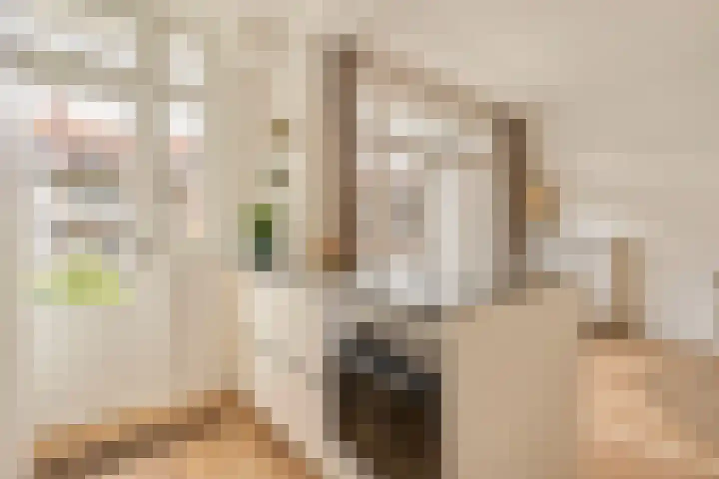 Parnassusweg 21 3 Amsterdam thumbnail 16