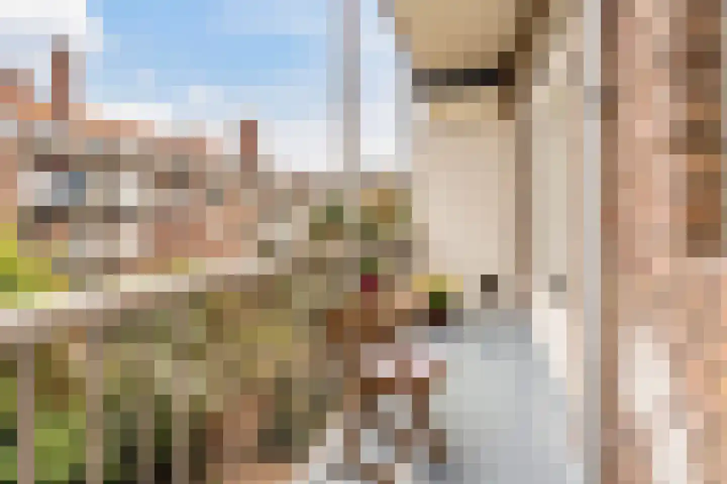 Parnassusweg 21 3 Amsterdam thumbnail 18