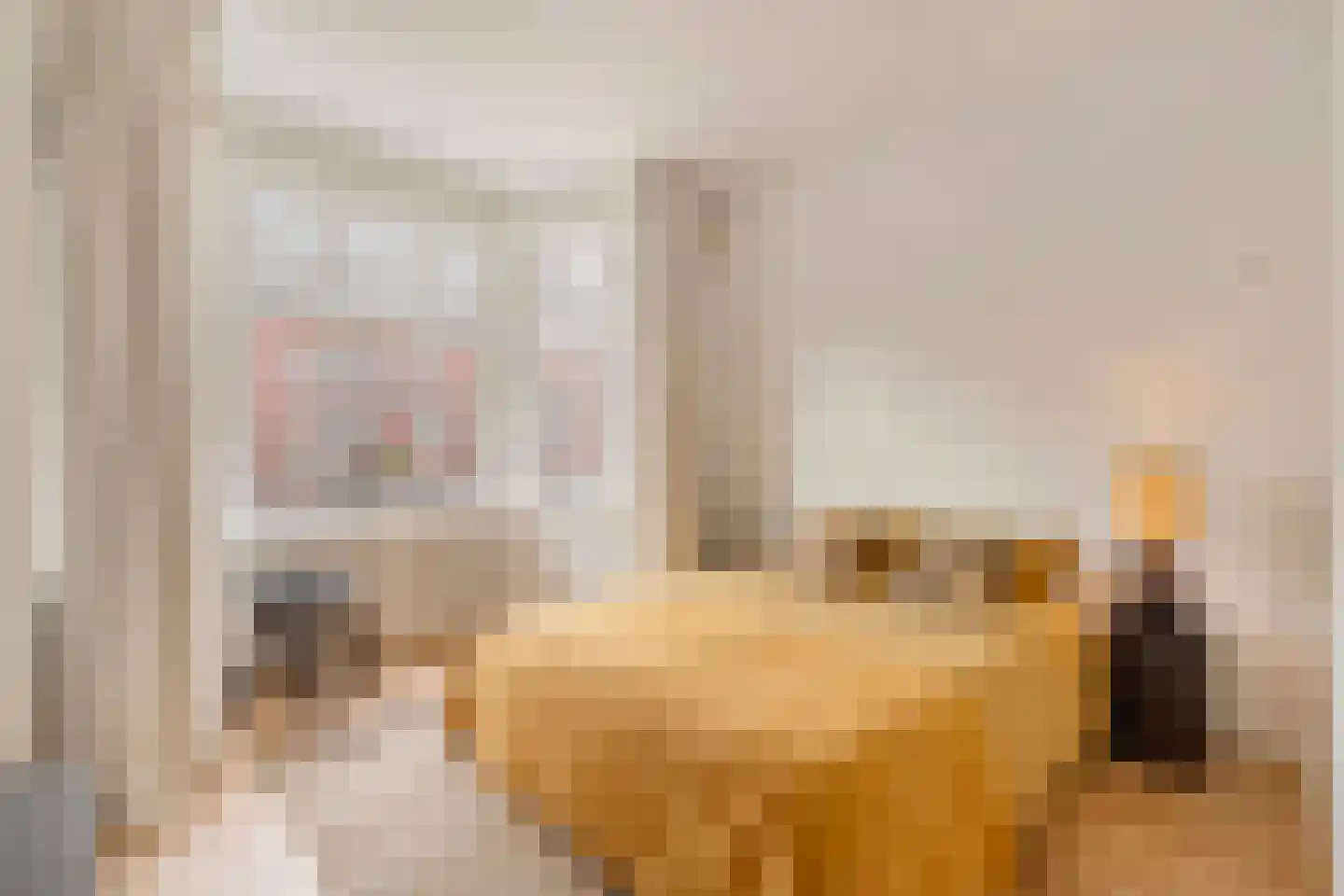 Parnassusweg 21 3 Amsterdam thumbnail 21