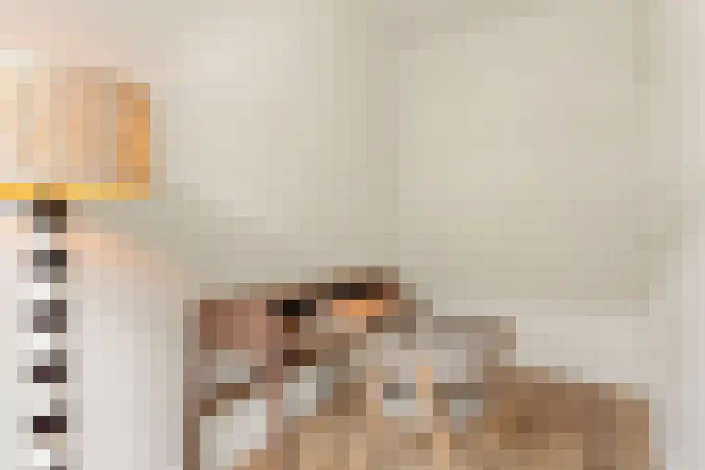 Parnassusweg 21 3 Amsterdam thumbnail 29