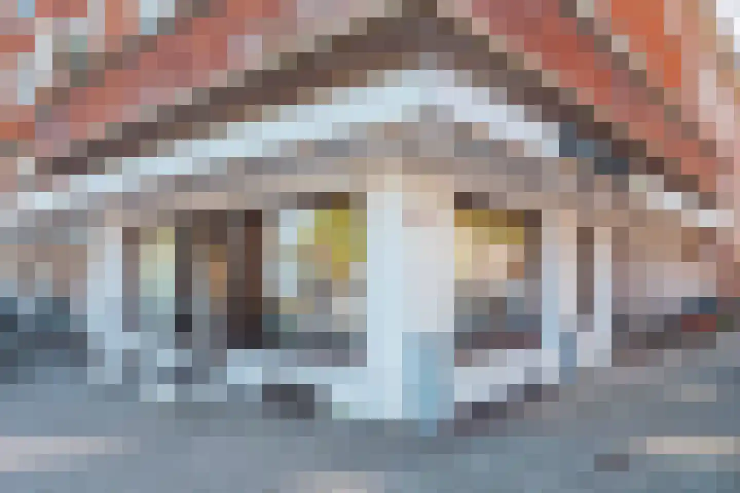 Parnassusweg 21 3 Amsterdam thumbnail 38