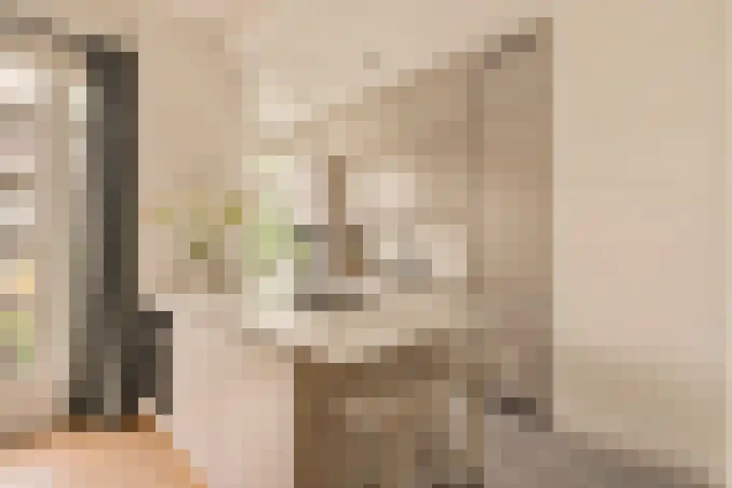 Parnassusweg 22 2 Amsterdam thumbnail 10