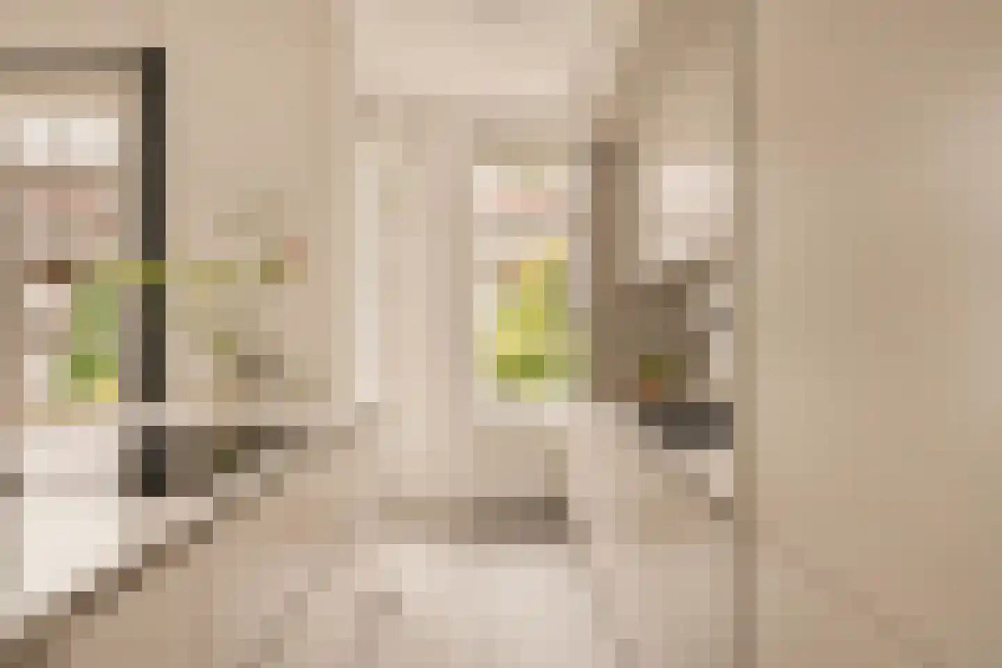 Parnassusweg 22 2 Amsterdam thumbnail 11