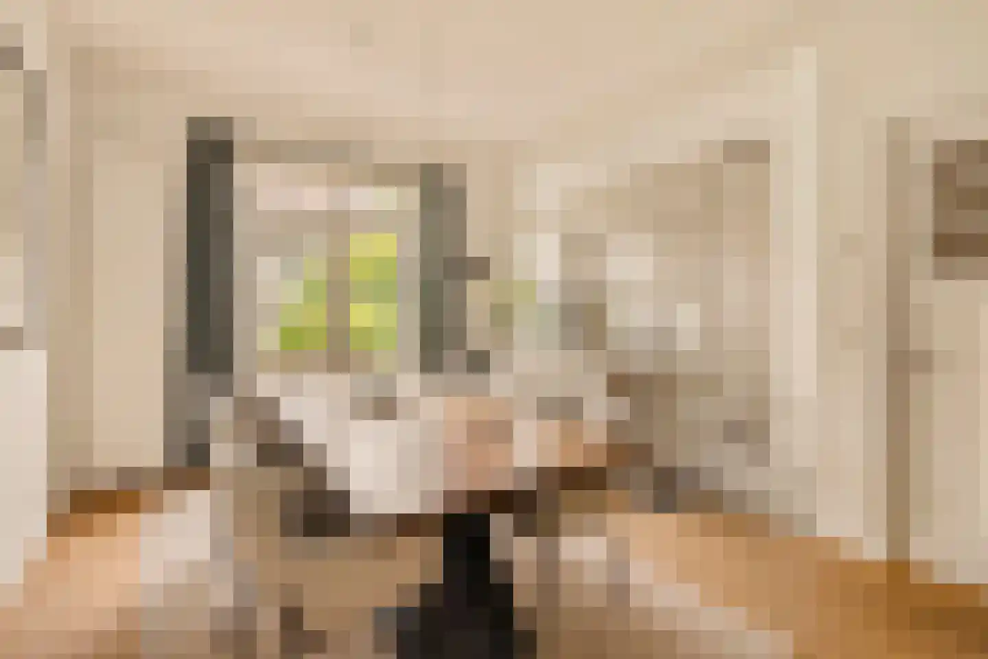 Parnassusweg 22 2 Amsterdam thumbnail 13